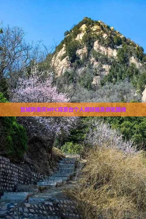 宣城到重庆WFC观景台个人游攻略及游览路线