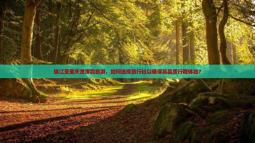 镇江至重庆渣滓洞旅游，如何选择旅行社以确保高品质行程体验？