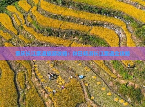 重庆长江索道旅游攻略：秋日畅游长江索道全攻略