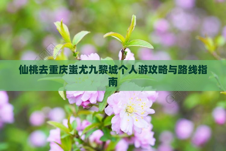 仙桃去重庆蚩尤九黎城个人游攻略与路线指南