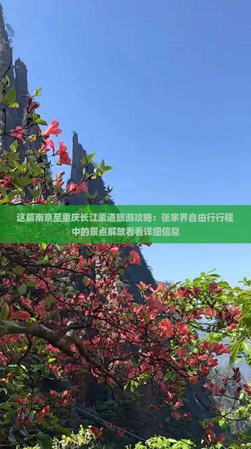 这篇南京至重庆长江索道旅游攻略：张家界自由行行程中的景点解放看看详细信息