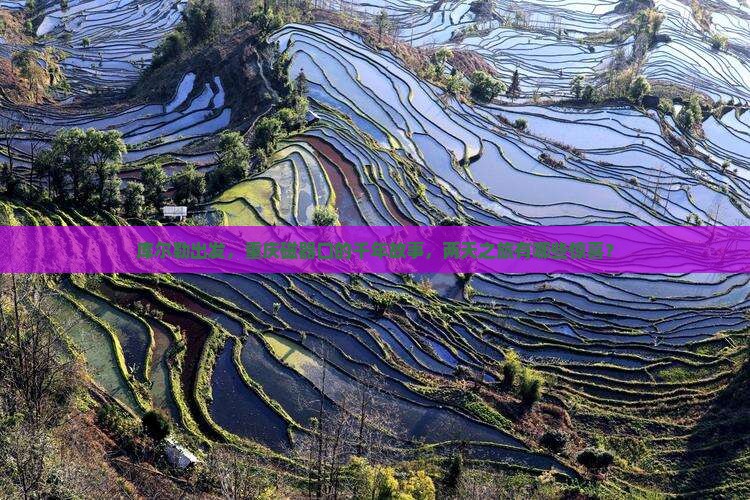 库尔勒出发，重庆磁器口的千年故事，两天之旅有哪些惊喜？