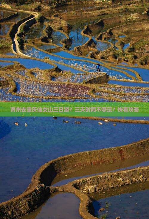 贺州去重庆仙女山三日游？三天时间不够玩？快看攻略