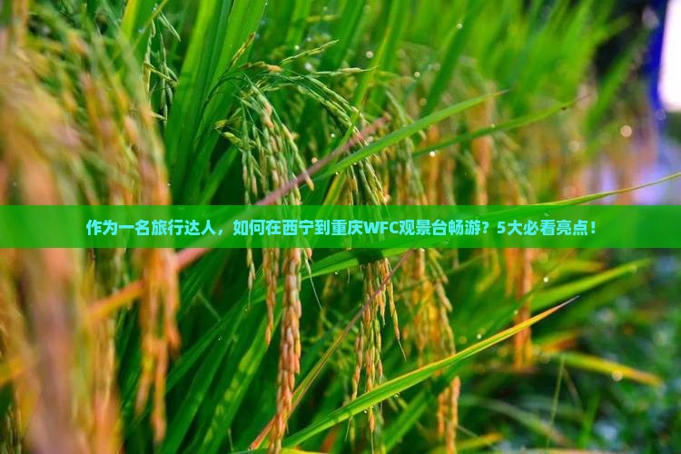 作为一名旅行达人，如何在西宁到重庆WFC观景台畅游？5大必看亮点！