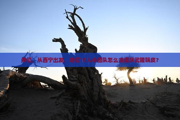 亲们，从西宁出发，咱们11人小团队怎么去重庆武隆嗨皮？