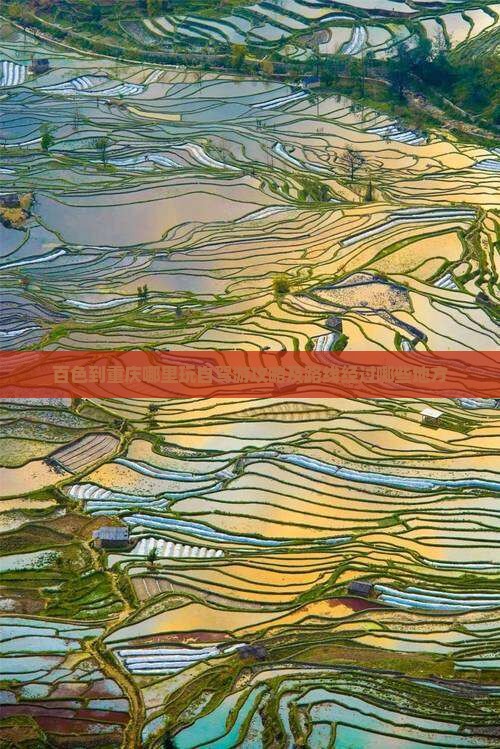 百色到重庆哪里玩自驾游攻略及路线经过哪些地方