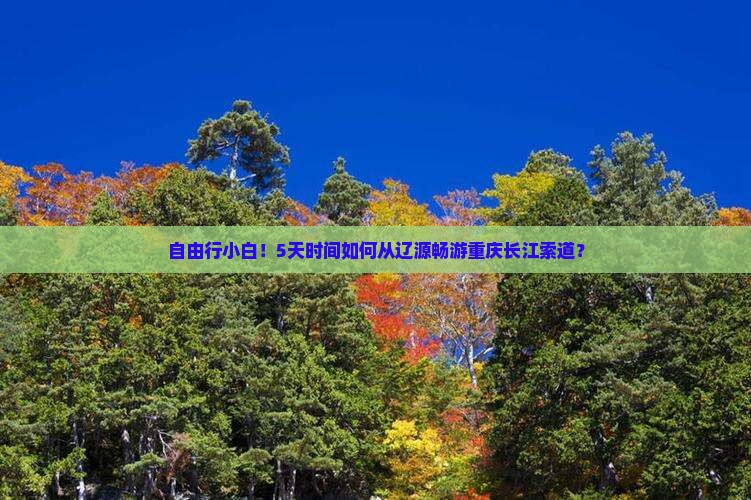 自由行小白！5天时间如何从辽源畅游重庆长江索道？