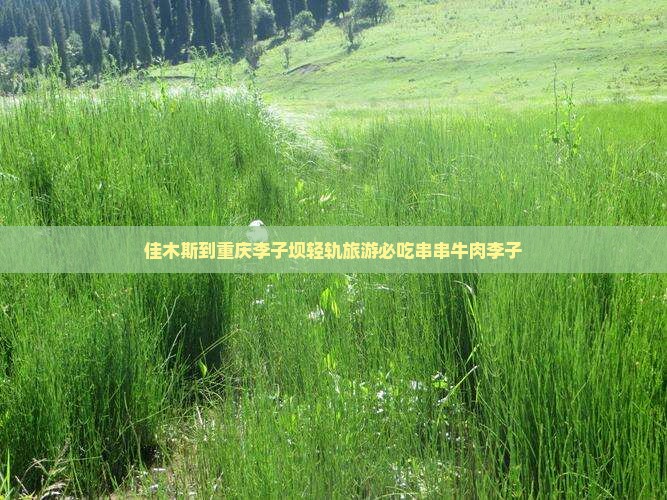 佳木斯到重庆李子坝轻轨旅游必吃串串牛肉李子
