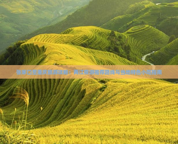 张家口至重庆旅游攻略：两江夜游推荐路线与当地特色小吃指南