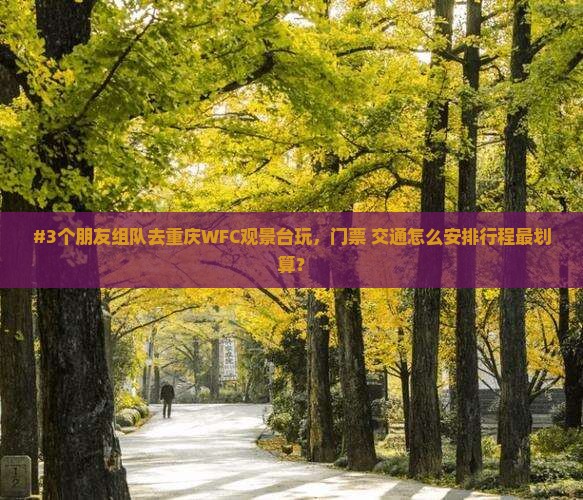#3个朋友组队去重庆WFC观景台玩，门票+交通怎么安排行程最划算？