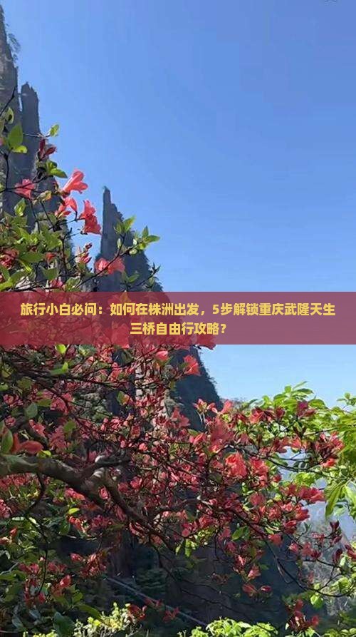 旅行小白必问：如何在株洲出发，5步解锁重庆武隆天生三桥自由行攻略？