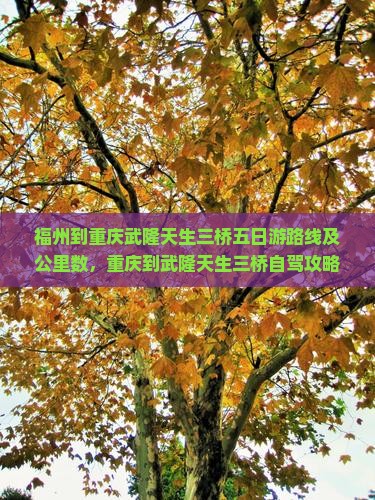 福州到重庆武隆天生三桥五日游路线及公里数，重庆到武隆天生三桥自驾攻略