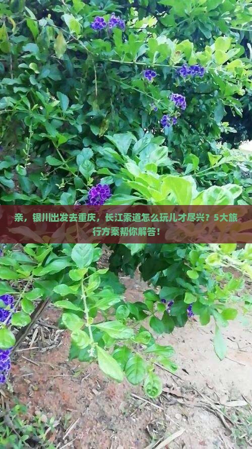 亲，银川出发去重庆，长江索道怎么玩儿才尽兴？5大旅行方案帮你解答！