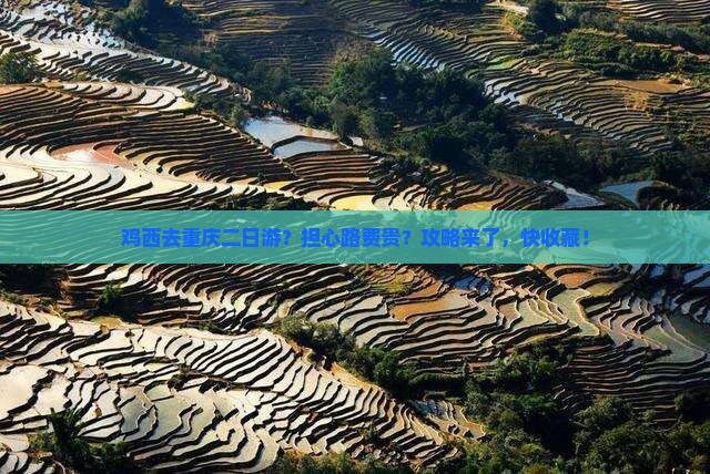 鸡西去重庆二日游？担心路费贵？攻略来了，快收藏！