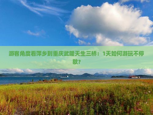 游客角度看萍乡到重庆武隆天生三桥：1天如何游玩不停歇？