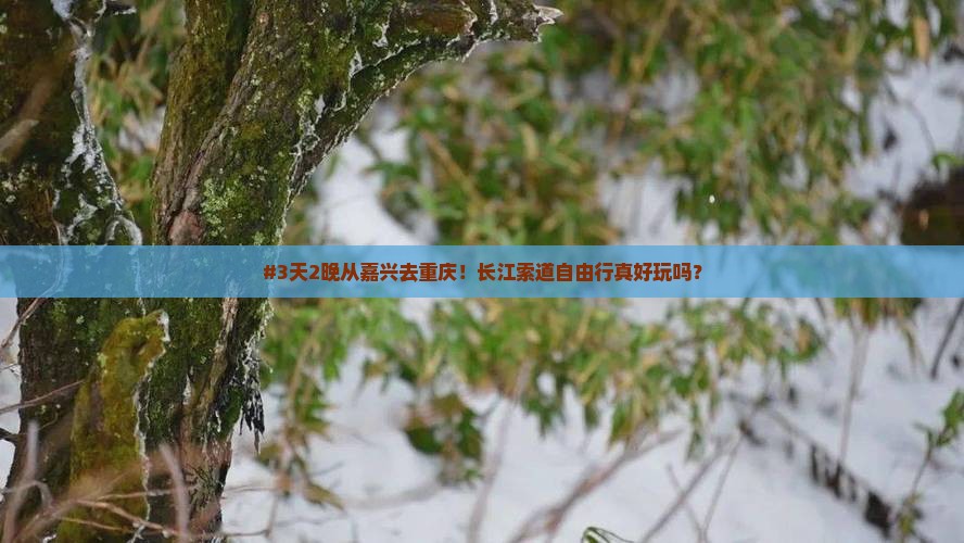 #3天2晚从嘉兴去重庆！长江索道自由行真好玩吗？