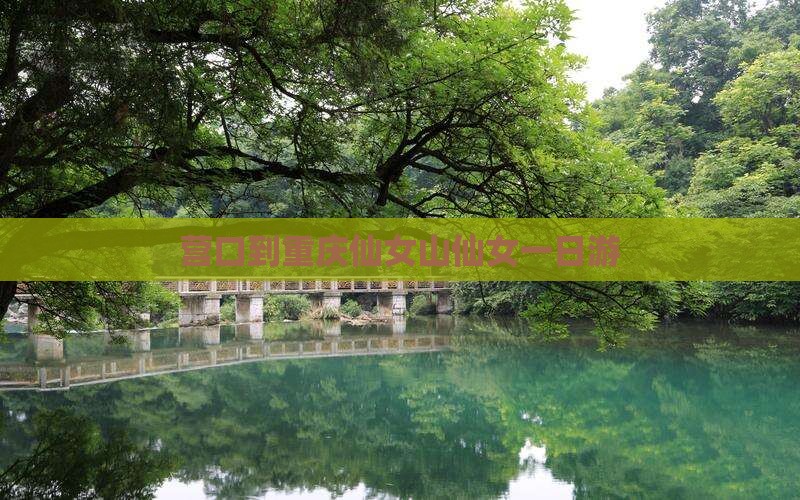 营口到重庆仙女山仙女一日游
