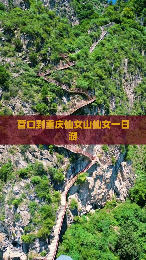 营口到重庆仙女山仙女一日游