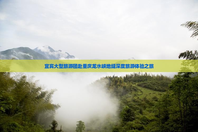 宜宾大型旅游团赴重庆龙水峡地缝深度旅游体验之旅