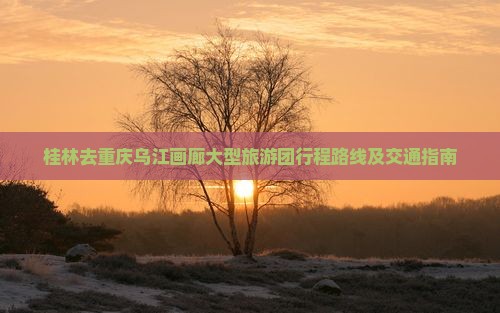 桂林去重庆乌江画廊大型旅游团行程路线及交通指南