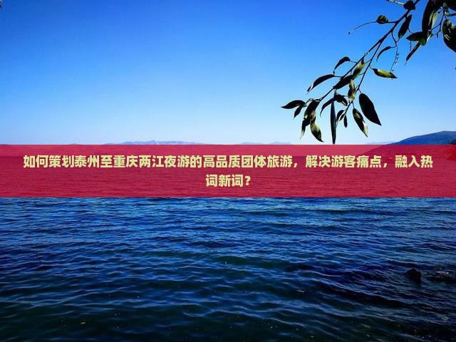 如何策划泰州至重庆两江夜游的高品质团体旅游，解决游客痛点，融入热词新词？