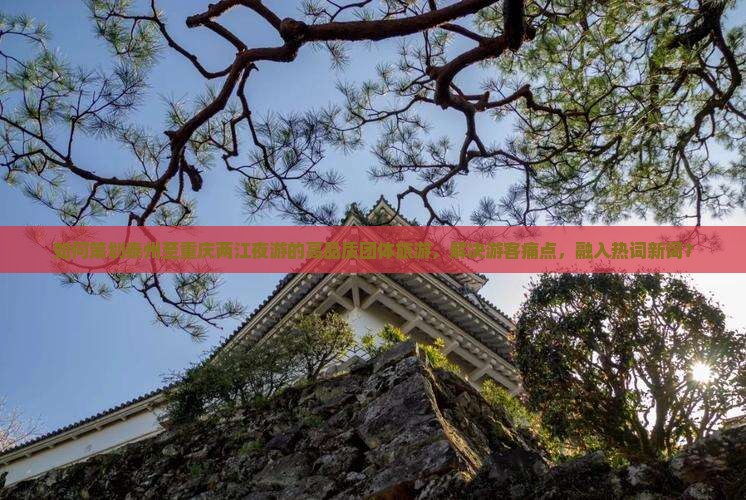 如何策划泰州至重庆两江夜游的高品质团体旅游，解决游客痛点，融入热词新词？