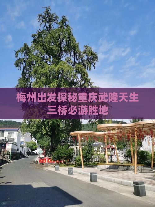 梅州出发探秘重庆武隆天生三桥必游胜地