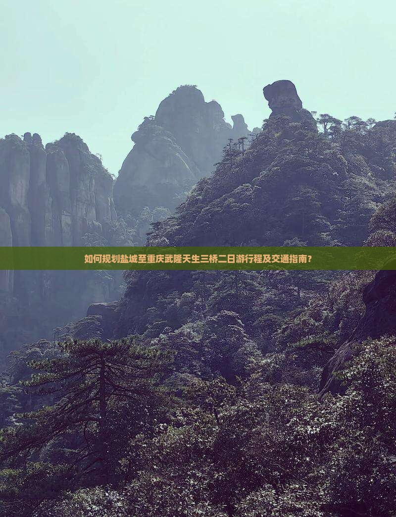 如何规划盐城至重庆武隆天生三桥二日游行程及交通指南？