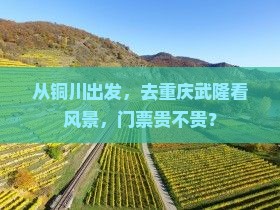 从铜川出发，去重庆武隆看风景，门票贵不贵？