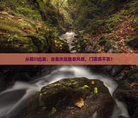 从铜川出发，去重庆武隆看风景，门票贵不贵？