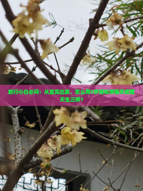 旅行小白必问：从宜宾出发，怎么用3步轻松游重庆武隆天生三桥？