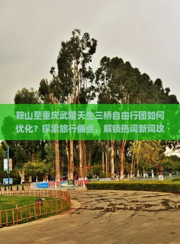 鞍山至重庆武隆天生三桥自由行团如何优化？探索旅行痛点，解锁热词新词攻略！