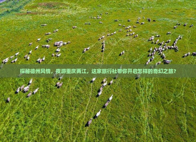 探秘德州风情，夜游重庆两江，这家旅行社带你开启怎样的奇幻之旅？