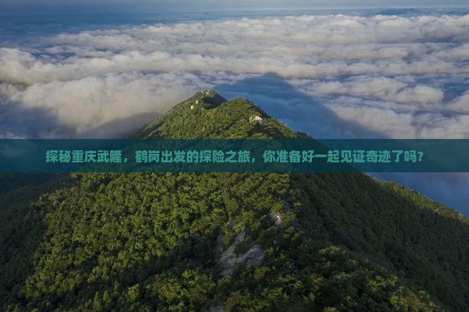 探秘重庆武隆，鹤岗出发的探险之旅，你准备好一起见证奇迹了吗？