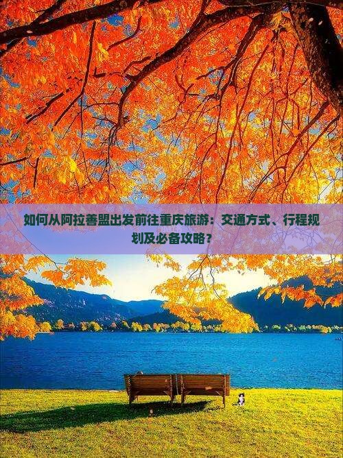 如何从阿拉善盟出发前往重庆旅游：交通方式、行程规划及必备攻略？