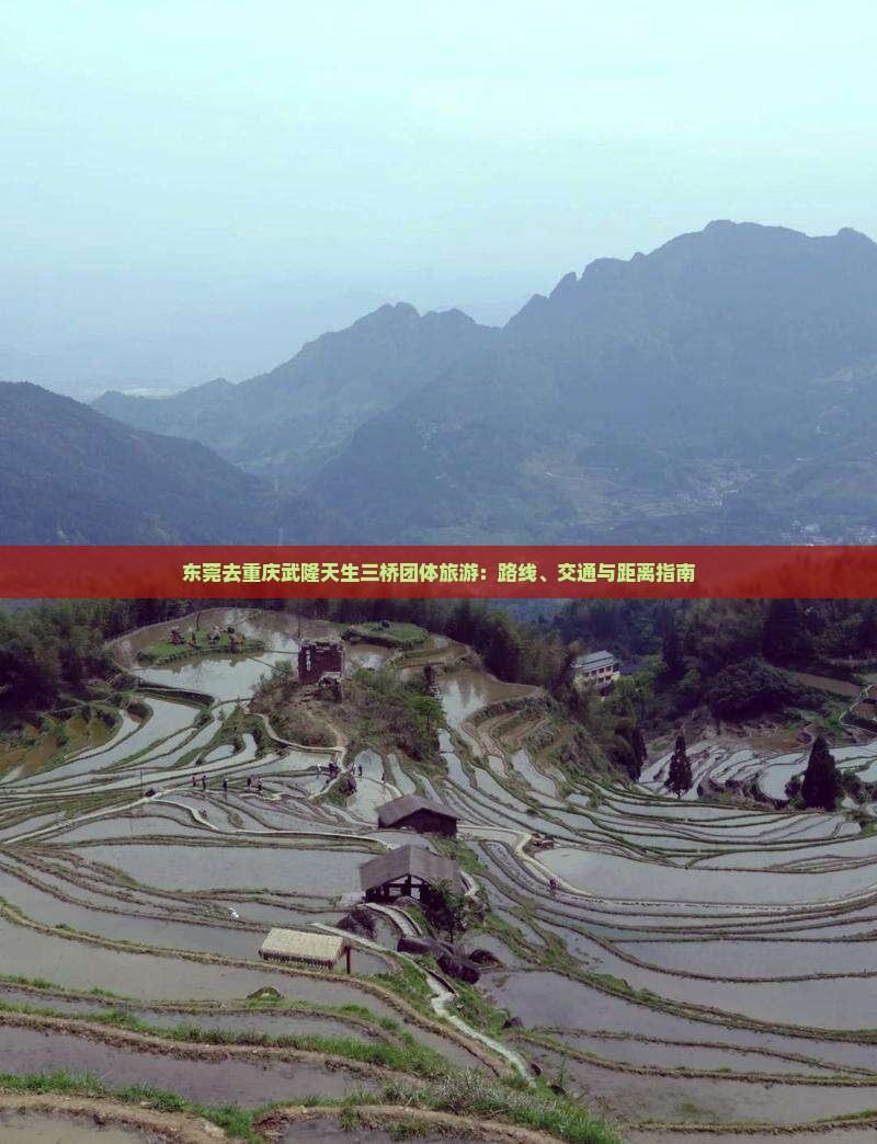 东莞去重庆武隆天生三桥团体旅游：路线、交通与距离指南