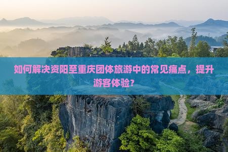 如何解决资阳至重庆团体旅游中的常见痛点，提升游客体验？