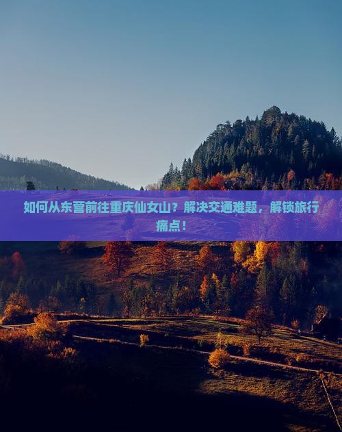 如何从东营前往重庆仙女山？解决交通难题，解锁旅行痛点！