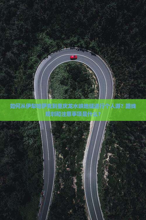 如何从伊犁哈萨克到重庆龙水峡地缝进行个人游？路线规划和注意事项是什么？
