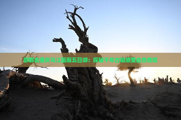 邯郸去重庆乌江画廊五日游：探秘千年古镇感受自然奇观