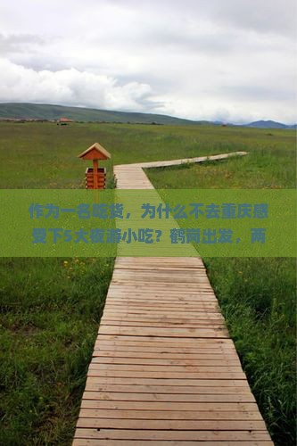 作为一名吃货，为什么不去重庆感受下5大夜游小吃？鹤岗出发，两江夜游，美味探秘！