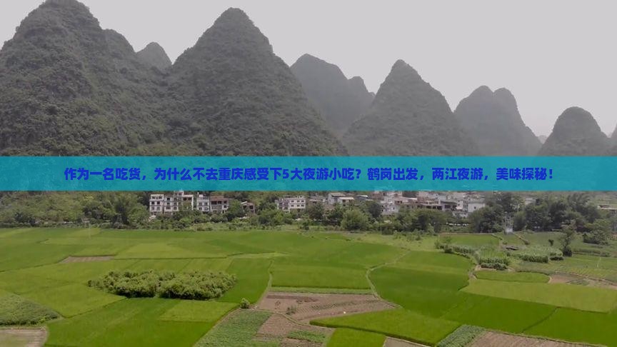 作为一名吃货，为什么不去重庆感受下5大夜游小吃？鹤岗出发，两江夜游，美味探秘！
