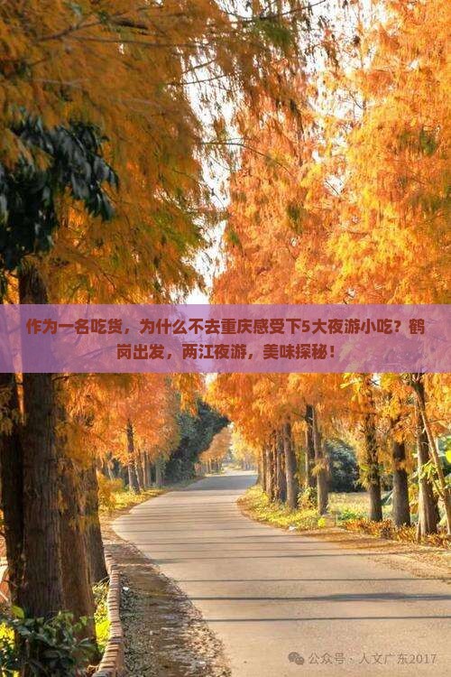 作为一名吃货，为什么不去重庆感受下5大夜游小吃？鹤岗出发，两江夜游，美味探秘！