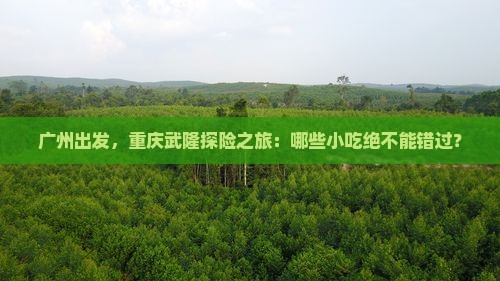 广州出发，重庆武隆探险之旅：哪些小吃绝不能错过？