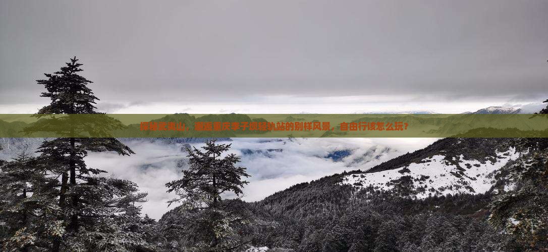 探秘武夷山，邂逅重庆李子坝轻轨站的别样风景，自由行该怎么玩？