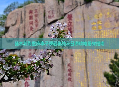 佳木斯到重庆李子坝轻轨站三日游攻略路线指南