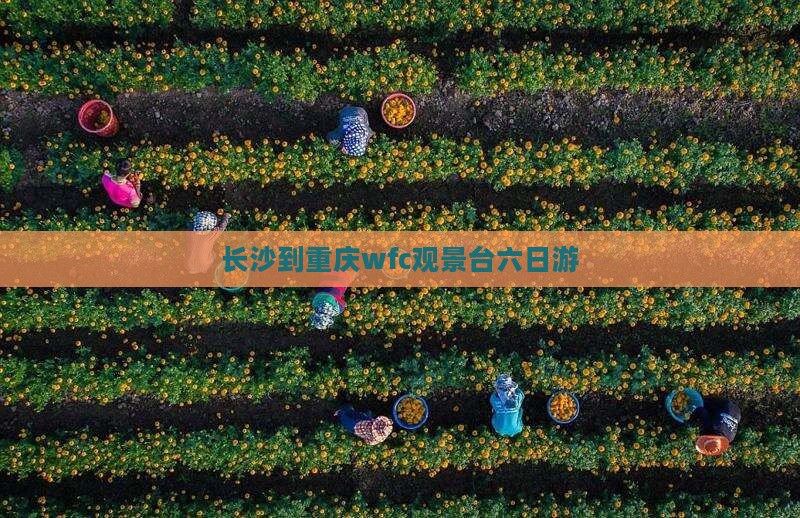 长沙到重庆wfc观景台六日游