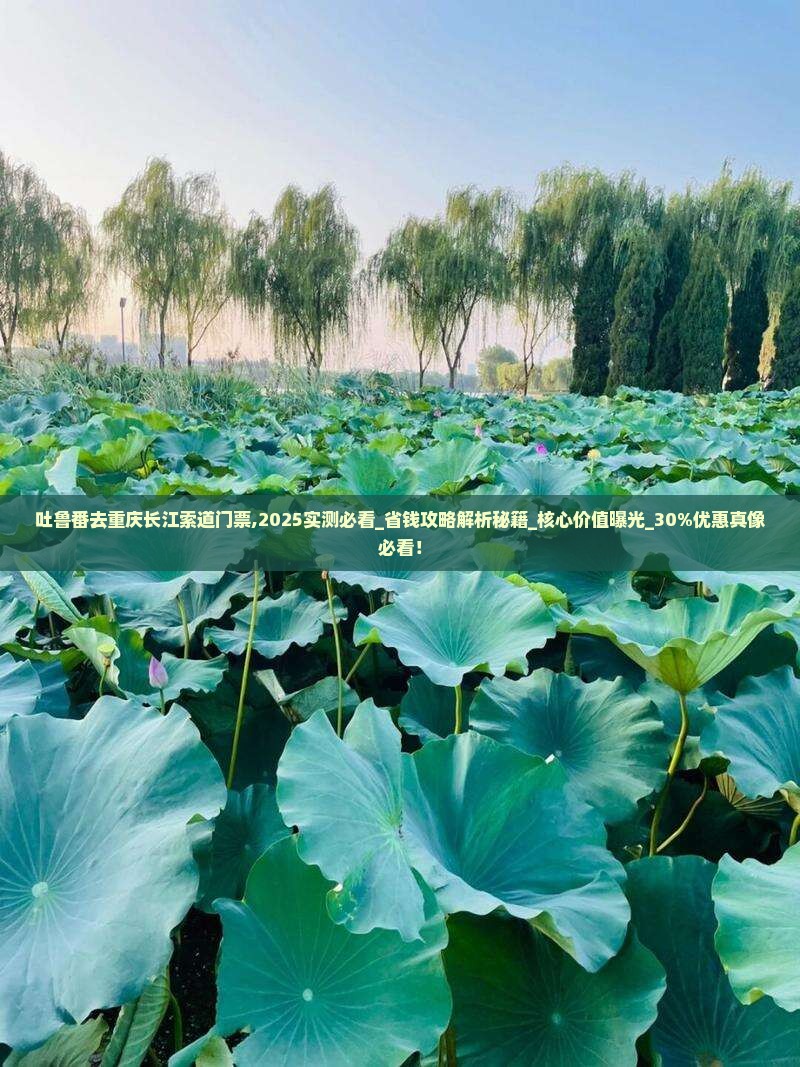 吐鲁番去重庆长江索道门票