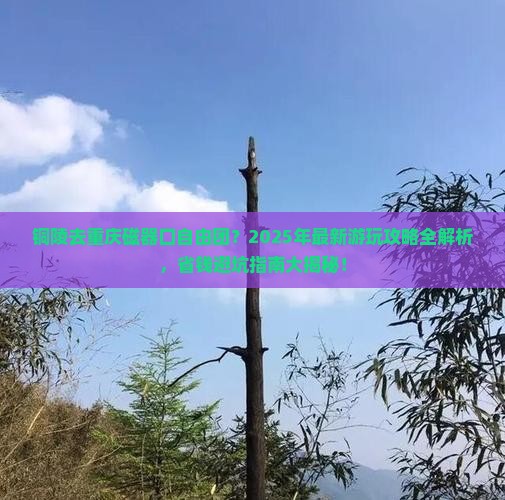 铜陵去重庆磁器口自由团