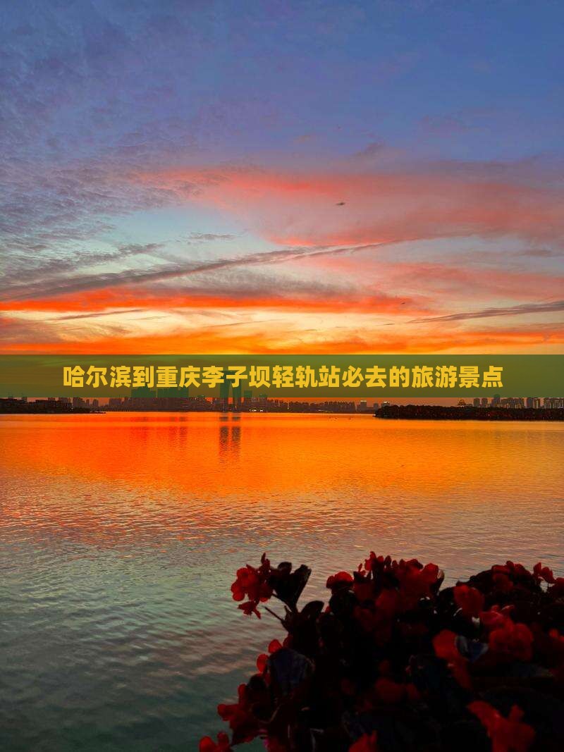 哈尔滨到重庆李子坝轻轨站必去地